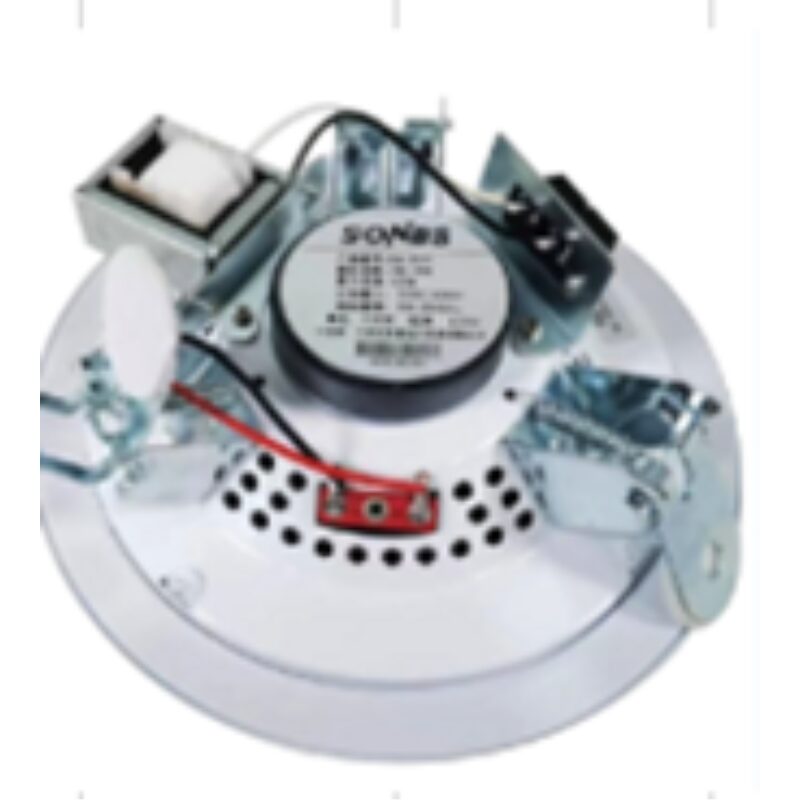 Loa âm Trần 6W PVLAT-06